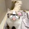 yuyi_136