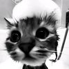 lonl_one