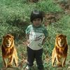 user9480730667927