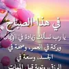 hmido.hamada