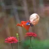 _salman_00009_