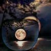 chaiandtea5