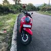alipp