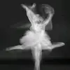 lolly_ksa1