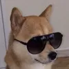xxblxckracerxx4