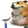 ocigore