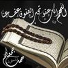 sayedamohamed513