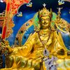 sujan_lama145