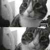 thkalana__