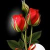 user1841650095792achu