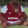 fattwood_2