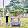 luuvanhai30