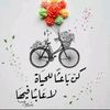 user4979061048320