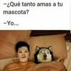 user685720147279