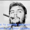 user359366184681
