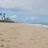maluluizasantos