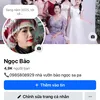 ngcbo7274