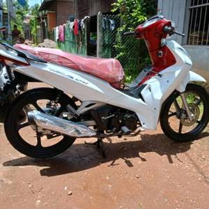 kokod862