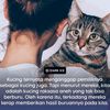 gendismanis0821