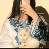 user4914222094610
