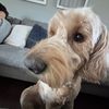 abbymd11