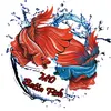 md_bettafish