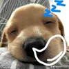 nhoanhnhieu_44