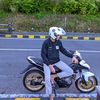 MX BROILER