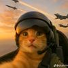 winnerchickendenner05