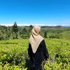 amanunuril