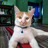 juwita_123450