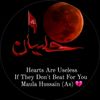 murshad127214