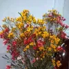 user4957406344092