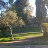 user20616069853793