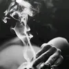 sarahassaidi