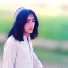 haseebullahgull1