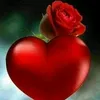 user7528044819995