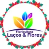 lacoseflores.oficial