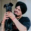ranaamir3593