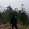ringgi11