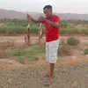 abdelwahd4574