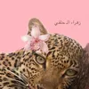 tiktok_z0hraa