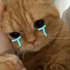 sucungnhattrendoi