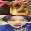 bingekdraly