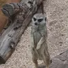 hmmmdhdy