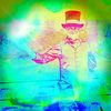 haunted_rosebud