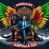 kaipulla.d361.ceo