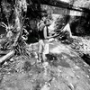 miguel_ariodante