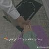 reejaashraf