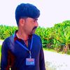sadamalimirjat